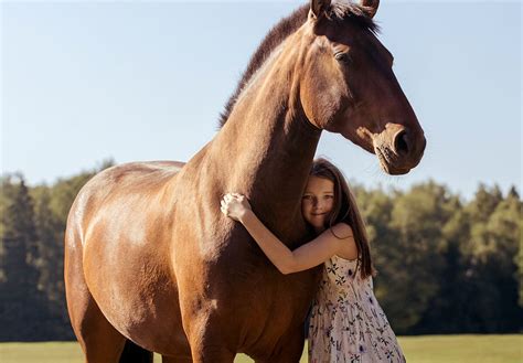 CELEBRATION OF THE HORSE DAY - July 15, 2025 - National Today