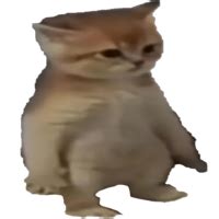 cat - Discord Emoji