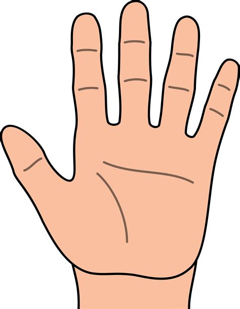 Hands hand clip art free clipart images | Hand clipart, Hand outline ...