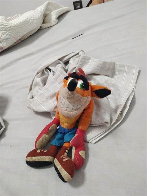 I Love this bandicoot plush : r/crashbandicoot