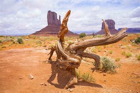 Monument Valley Navajo Tribal Park