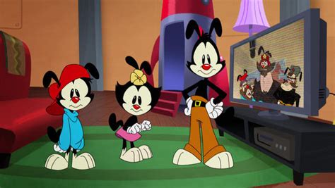 Animaniacs (2020) | AFA: Animation For Adults : Animation News, Reviews ...