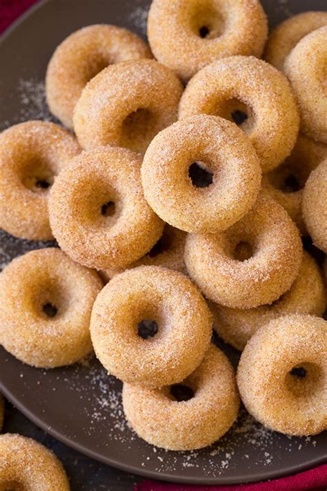 Healthy Mini Donut Recipe | Bryont Blog