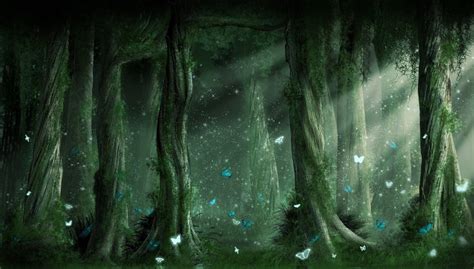 Dark Forest Backgrounds - Wallpaper Cave