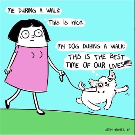 12 Comics That Perfectly Sum Up Dog Ownership