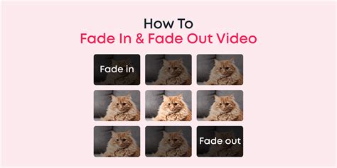 How to Fade Your Video Easily in Windows