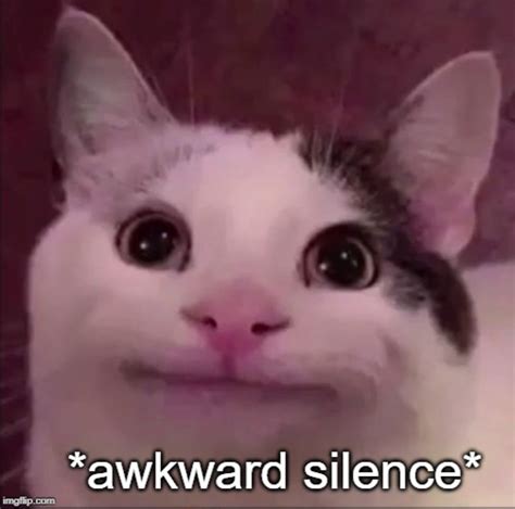 Awkward silence cat Blank Template - Imgflip