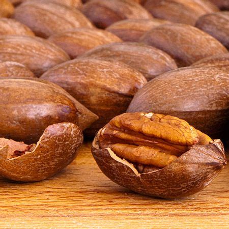 Tons of Delicious Pecans! - - One of the country's most popular pecan ...