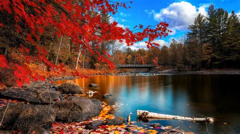 Wallpaper : 2560x1440 px, fall, nature, river, trees 2560x1440 ...