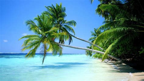 Tropical Beach Wallpapers Desktop - Wallpaper Cave