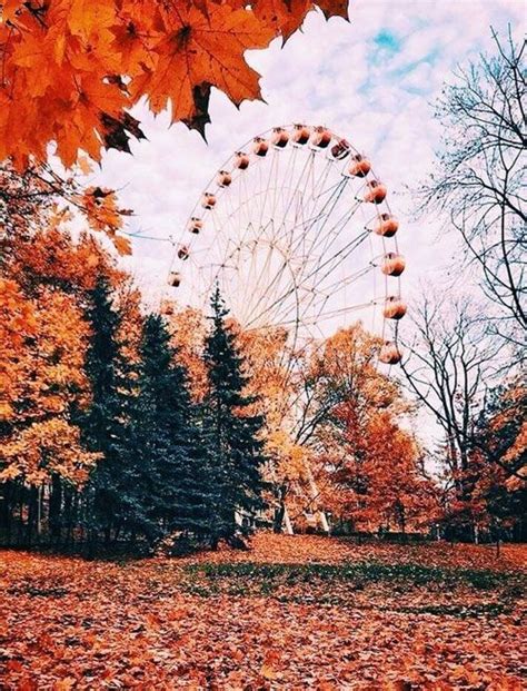 autumn aesthetic wallpaper, autumn aesthetic background, autumn ...