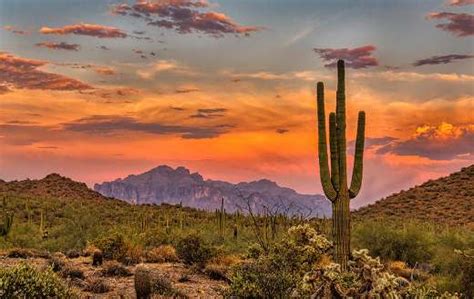 Sunset Sonoran desert - Online Jigsaw Puzzles