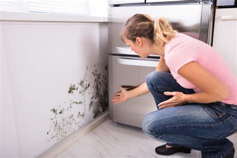 What Causes Mold on Walls? 5 Possible Reasons - Bonnie Roberts Realty