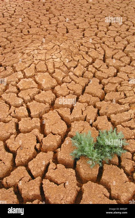 Gobi desert, Mongolia Stock Photo - Alamy