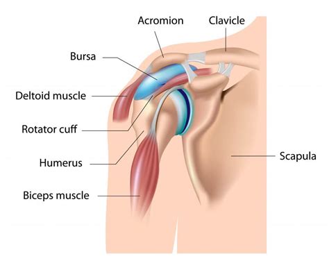 THE BEST SHOULDER BURSITIS EXERCISES FOR WHEN YOU’RE FEELING SORE ...