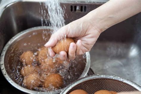 Best Egg Washer To Help You Clean Eggs Quick and Easy (2025)