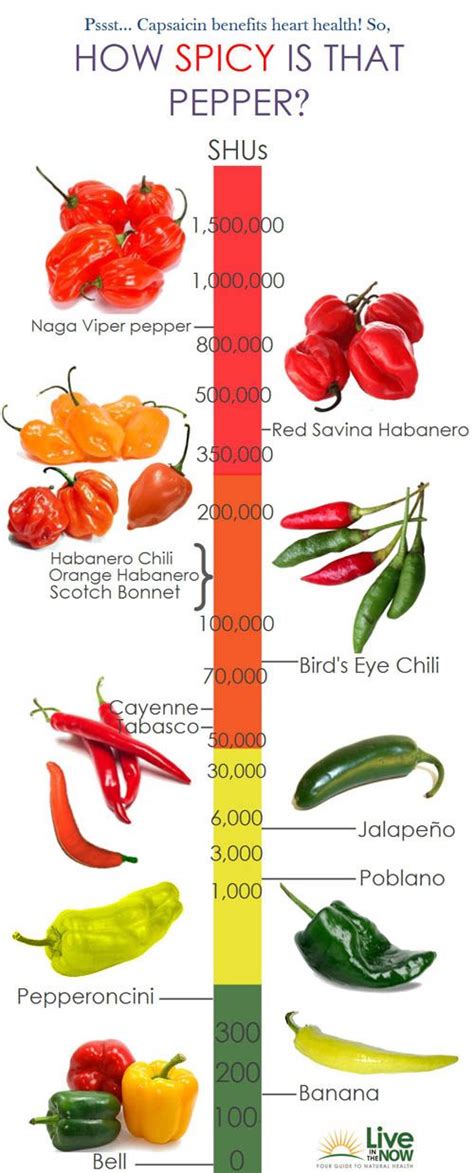 Low Heat Chili Peppers - Scoville Heat Units (SHU) Hot Pepper Scale