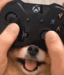 Controller Bad GIF - Controller Bad - Discover & Share GIFs