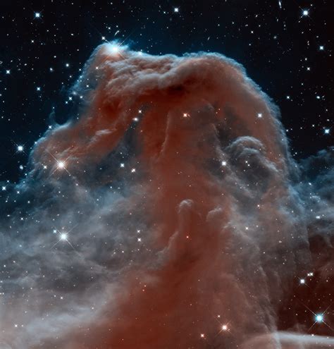 Hubble Views the Horsehead Nebula