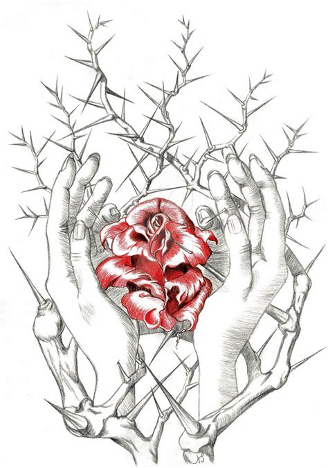 Rose With Thorns Drawing at PaintingValley.com | Explore collection of ...