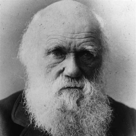 Celebrating Charles Darwin #DarwinDay « Adafruit Industries – Makers ...