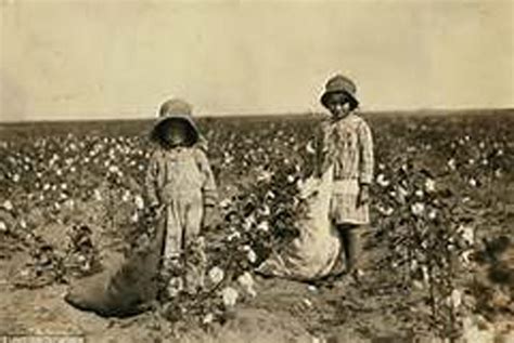 Historical Cotton Images | Multimedia | albanyherald.com