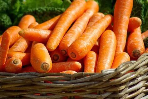 How To Harvest Carrot + Carrot Seeds - Webgardener - Learn Gardening ...