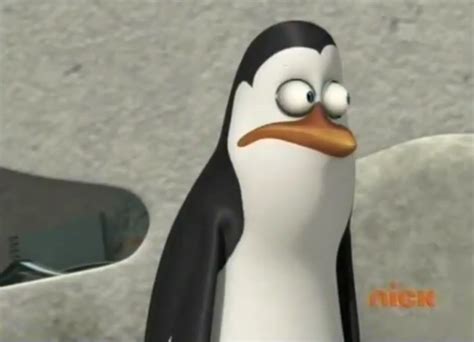 Kowalski o_O - Penguins of Madagascar Photo (31233942) - Fanpop