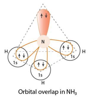 Nh3 Lewis Structure Geometry And Hybridization Techiescientist | techscient