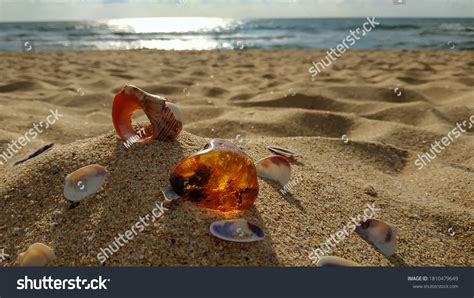 Baltic amber Images, Stock Photos & Vectors | Shutterstock