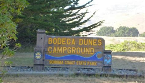 bodega-dunes-campground - The Official Bodega Bay Area Website