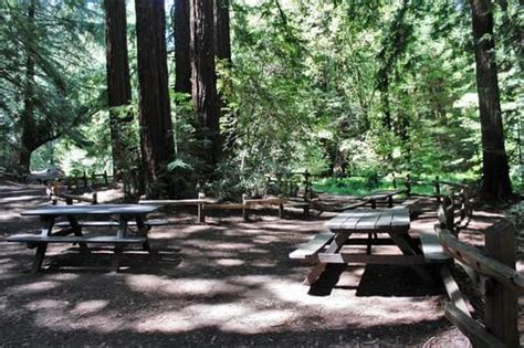 Reinhardt Redwood Picnic Areas - Oakland | East Bay Parks