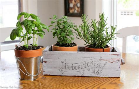 Stylish Indoor Herb Garden Box | DIYIdeaCenter.com