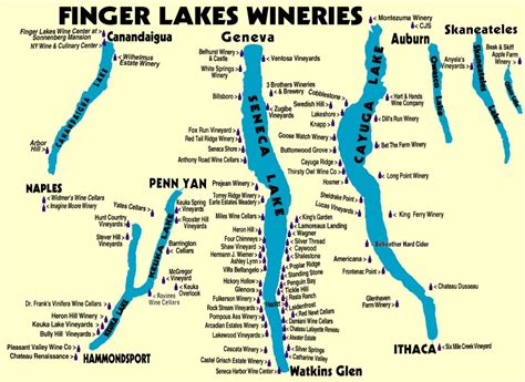 Exploring the Finger Lakes Wine Region - Betty's Wine Musings