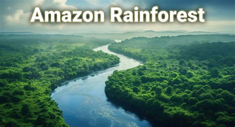 A Journey Through the Ever-evolving Amazon Rainforest