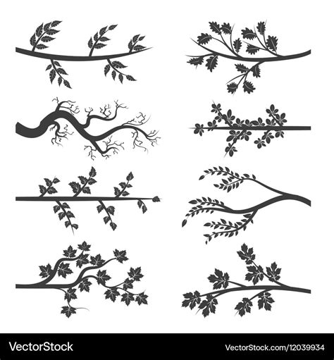 Tree branches with leaves silhouette Royalty Free Vector