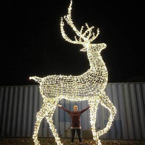 Large Outdoor Light Up Reindeer - Outdoor Lighting Ideas