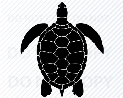 Sea Turtle Svg Tortoise Design Vector Images Silhouette Clip Art Hot