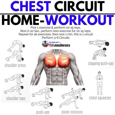 5 Day Best Chest Workout At Home With Dumbbells for Weight Loss ...