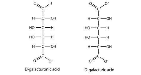 95 FISCHER STRUCTURE OF FRUCTOSE - StructureofFructose3