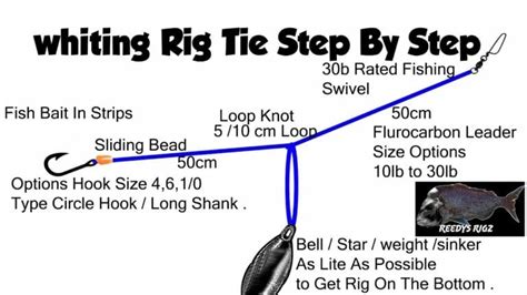 Whiting Rig Diagram Make Bottom Fishing Rigs Easy Setup Video Tutorial