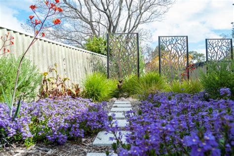 Embrace The Shade: Native Grasses For Lush Australian Gardens