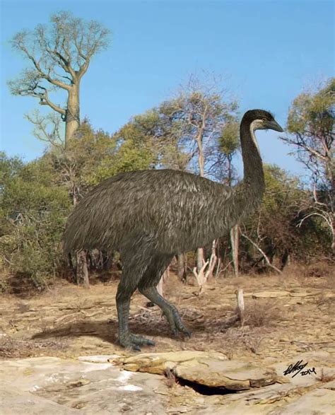 Elephant Bird | Dinosaurs - Pictures and Facts