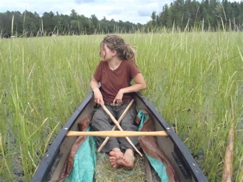 Harvesting Wild Rice | Delishably