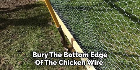 How to Build a Chicken Wire Fence | 11 Easy Guides (2025)