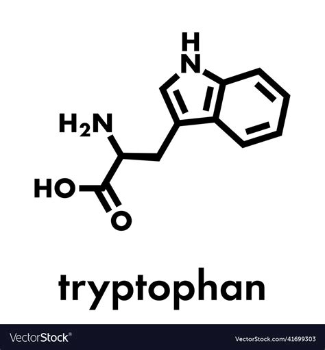 Tryptophan l-tryptophan trp w amino acid molecule Vector Image