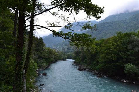 Abkhazia. Beautiful nature stock image. Image of beautyn - 191718223