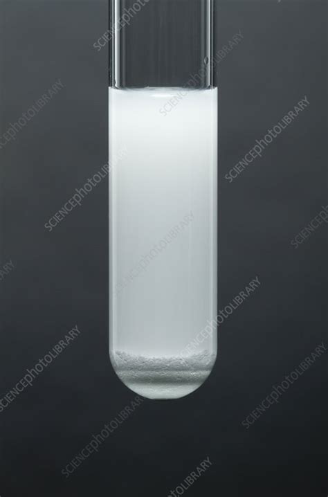 Silver chloride precipitate - Stock Image - C030/7203 - Science Photo ...