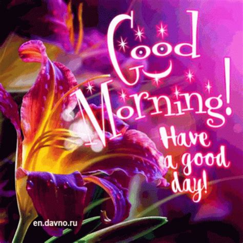 Good Morning Have AGood Day GIF - GoodMorning HaveAGoodDay HaveANiceDay ...