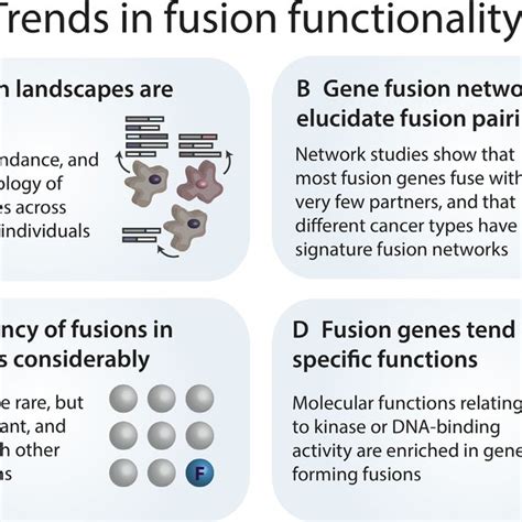 Mechanisms of gene fusion formation. (A) Structural rearrangements of ...